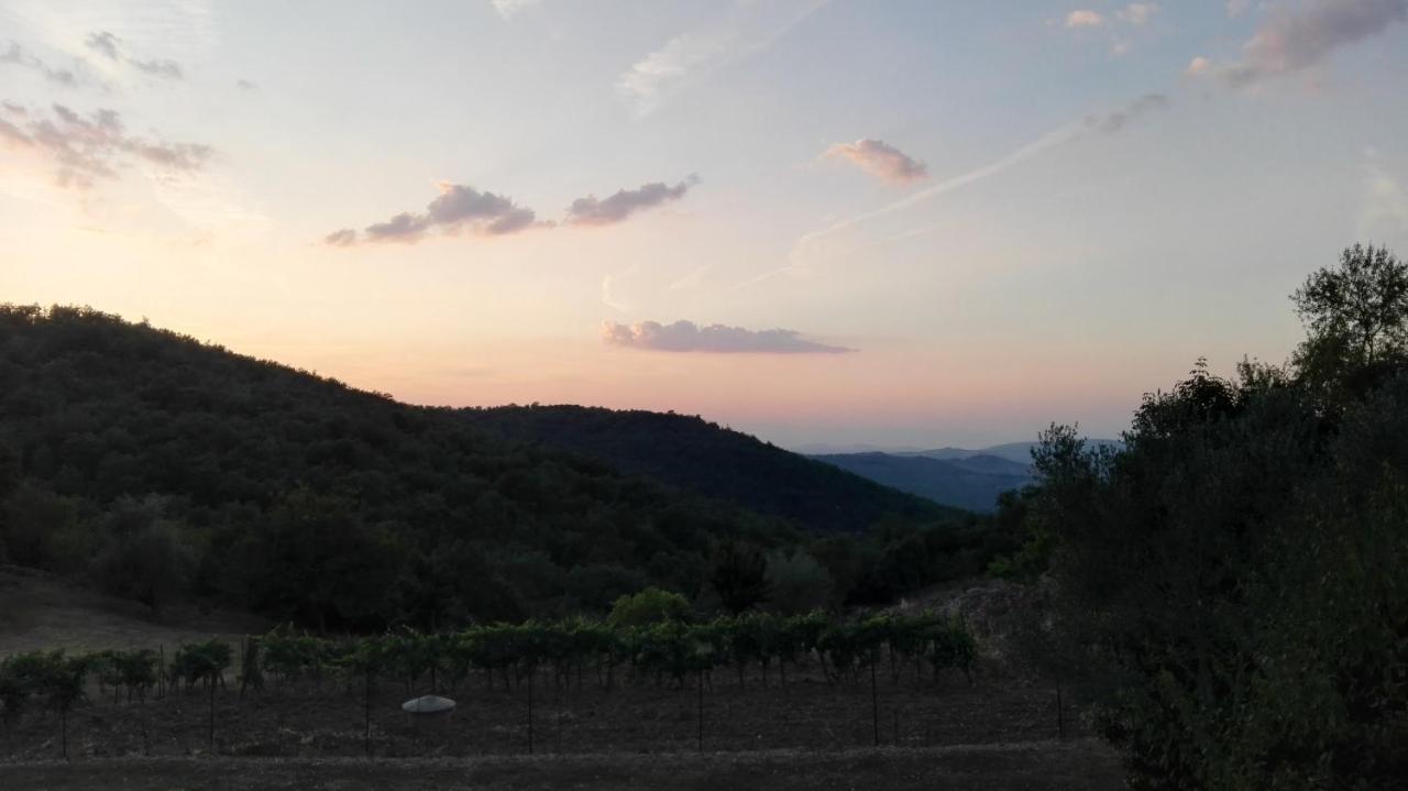Sandra House Apartman Castellina in Chianti Kültér fotó