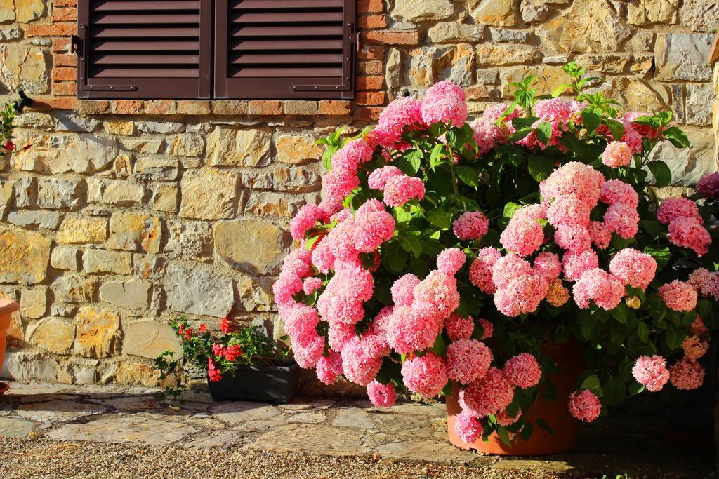 Sandra House Apartman Castellina in Chianti Kültér fotó