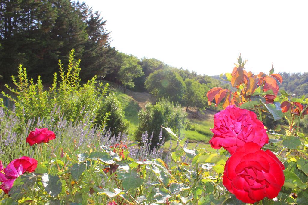 Sandra House Apartman Castellina in Chianti Kültér fotó