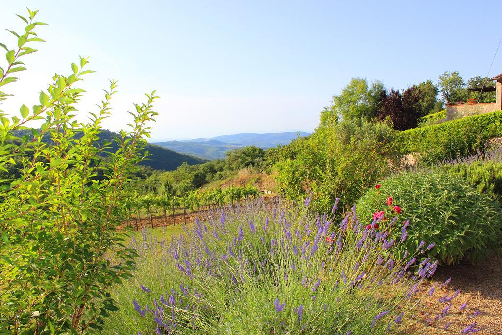Sandra House Apartman Castellina in Chianti Kültér fotó